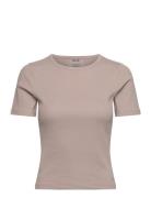 Ease Ribbed Short Sleeve Aim´n Beige