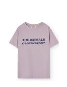 Orion Kid T-Shirt Lavand THE ANIMALS OBSERVATORY Purple
