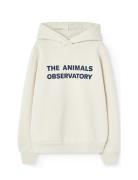 Taurus Kid Hoodie White Mouth THE ANIMALS OBSERVATORY Cream