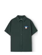 Kangaroo Kid Shirt Deep Green THE ANIMALS OBSERVATORY Green