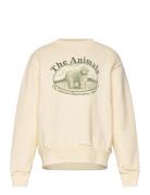 Bear Kid Sweatshirt White Logo THE ANIMALS OBSERVATORY Cream