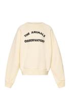 Shark Kid Sweatshirt White Logo THE ANIMALS OBSERVATORY Cream