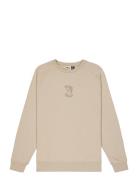 Terra Crew PICTURE ORGANIC CLOTHING Beige