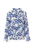 Cassisadea Ev Dea Kudibal Blue