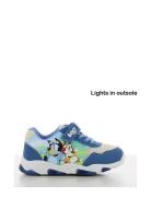 Bluey Sneakers Leomil Blue