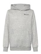 Hooded Sweatshirt Champion Grey