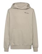 Hooded Sweatshirt Champion Beige