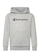 Hooded Sweatshirt Champion Grey
