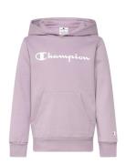 Hooded Sweatshirt Champion Pink