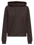 Onplounge Life Hood Ls Swt Noos Only Play Brown