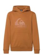 Comp Logo Hoodie Youth Quiksilver Brown