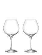 More Pinot Vinglas 60Cl 2-Pack Orrefors