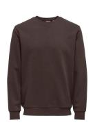 Onsceres Crew Neck Noos ONLY & SONS Brown