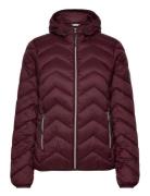 Frpadma Ja 1 Fransa Burgundy