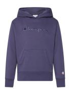 Hooded Sweatshirt Champion Blue