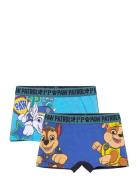 Boxer Paw Patrol Blue