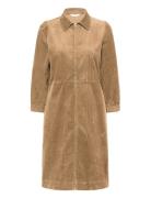 Eyvorpw Dr Part Two Brown