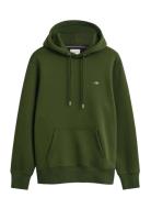 Reg Shield Hoodie GANT Green