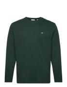 Reg Shield Ls T-Shirt GANT Green