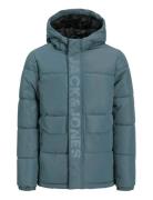 Jcospeed Puffer Sn Jnr Jack & J S Blue