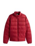 Mid Weight Stand Collar Jkt Tommy Hilfiger Red