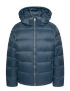 Ls Nylon Zip Off Hood Down Puffe Calvin Klein Jeans Navy