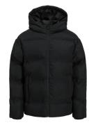 Jjesoho Puffer Hood Sn Jnr Jack & J S Black