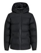 Jjelements Pu Puffer Jnr Jack & J S Black