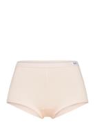 Women's Bamboo Legend Boxer Frank Dandy Pink
