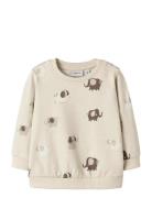 Nbnohapi Ls Sweat Bru Name It Cream