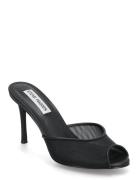 Rollout-M Mule Steve Madden Black