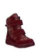 Urban Snowboarder ECCO Burgundy