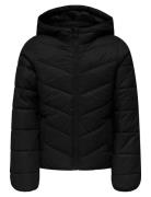 Kogkajsa Light Quilt Hood Jkt Otw Noos Kids Only Black