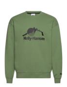 Yu Crew Sweater 2.0 Helly Hansen Green