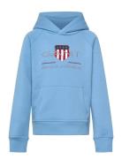 Archive Shield Hoodie GANT Blue
