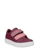 Soft 60 K ECCO Purple