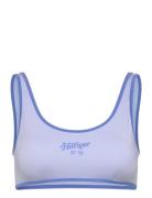 Bralette Logo Tommy Hilfiger Blue