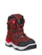 Snow Mountain ECCO Red