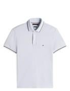 Tipped Slim Fit Seasonal Polo Tommy Hilfiger Blue