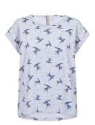 Sc-Galina Soyaconcept Blue