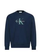 Ls Premium Terry Monologo Cn Swt Calvin Klein Jeans Navy
