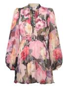 Organza Mini Dress By Ti Mo Patterned