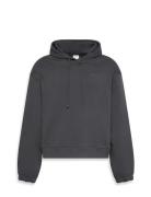 L/S Hoodie Calvin Klein Grey