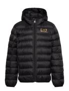 Down Jacket EA7 Black