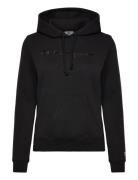 Hooded Sweatshirt Champion Black
