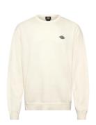 M Summerdale Sweater Dickies Cream