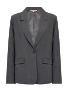 Sc-Venus Soyaconcept Grey