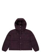 Short Puffer With Hood Lee Jeans Burgundy