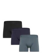 Claudio 3-Pack Tights Claudio Black