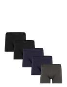 Claudio 5-Pack Tights Claudio Patterned